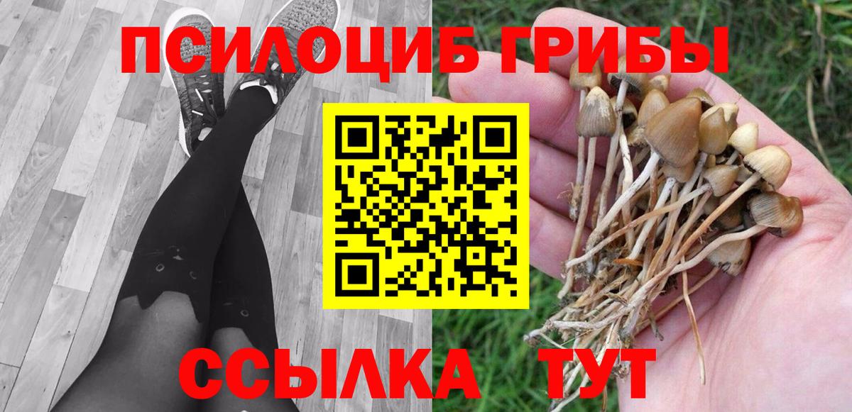 Самара  Псилоцибиновые грибы Psilocybe  Вход с VPN 